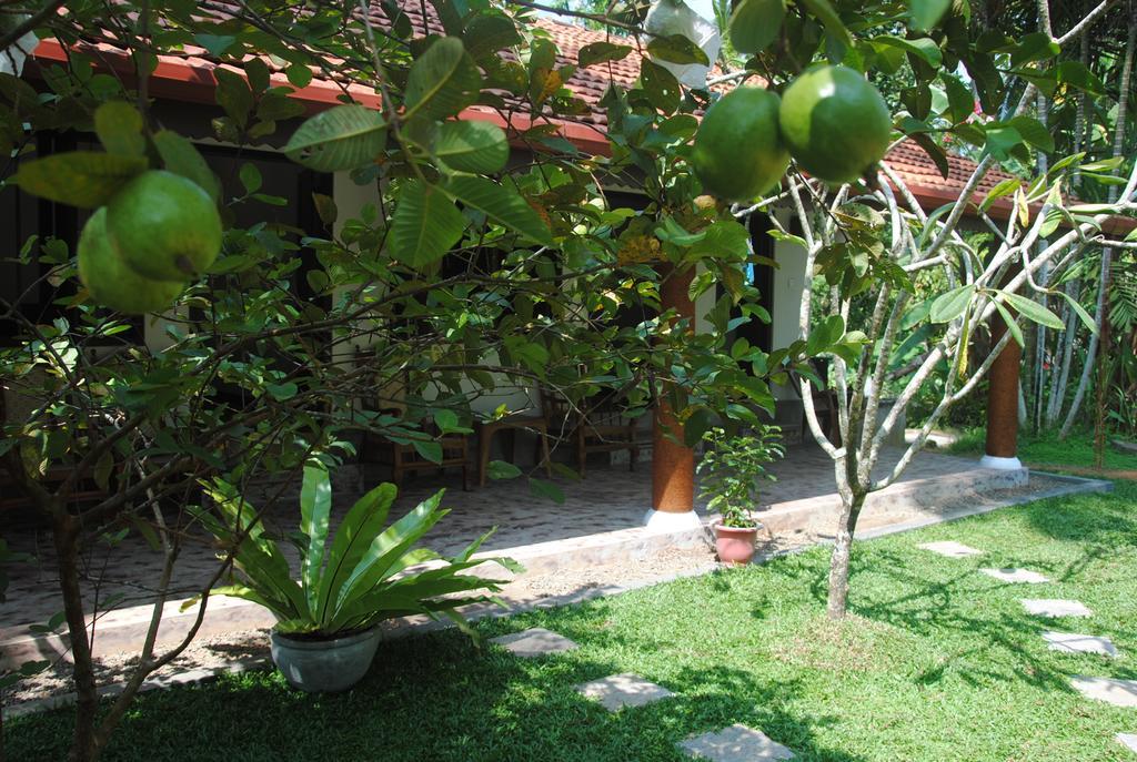 Aknara Rest Hotell Weligama Exteriör bild