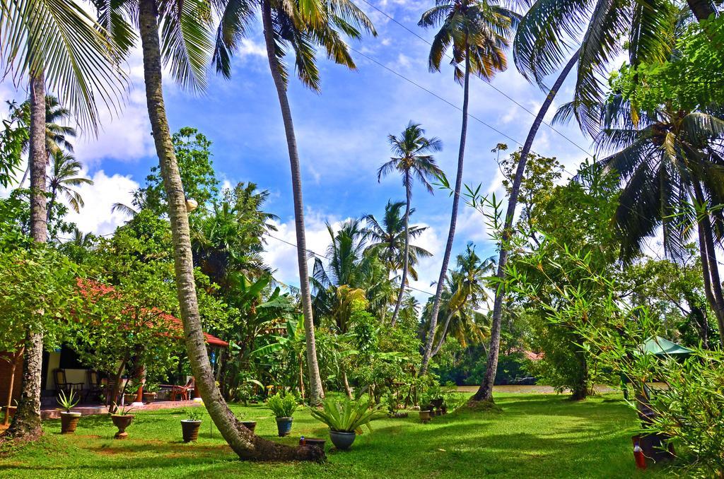Aknara Rest Hotell Weligama Exteriör bild