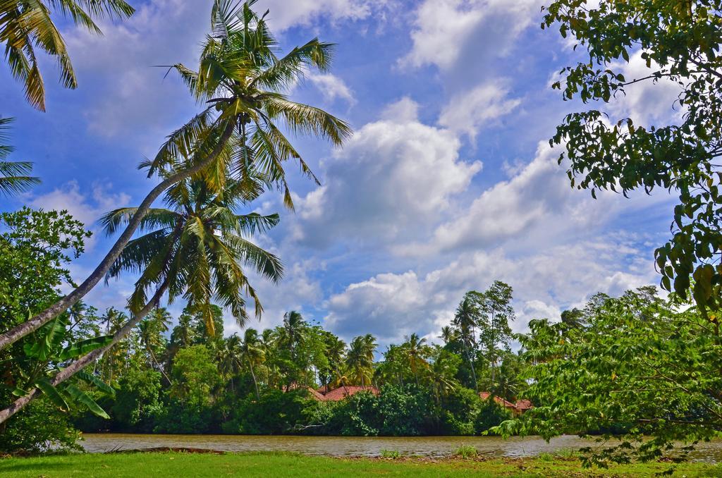 Aknara Rest Hotell Weligama Exteriör bild
